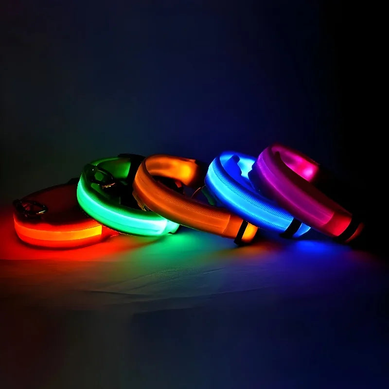 Glowing Dog Collar