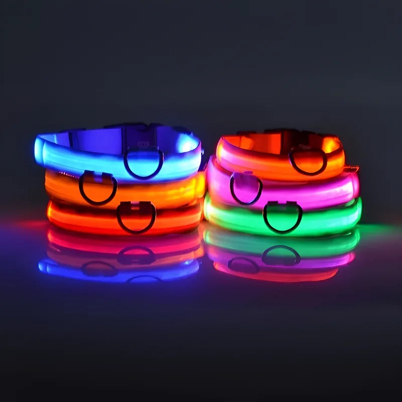 Glowing Dog Collar